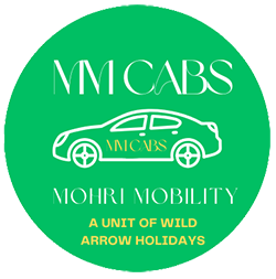 logo Mohri Mobility